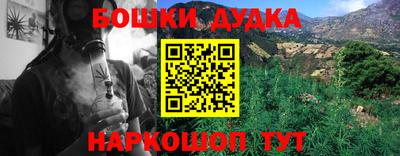 ПСИЛОЦИБИНОВЫЕ ГРИБЫ Аргун
