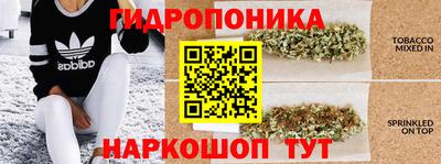 ПСИЛОЦИБИНОВЫЕ ГРИБЫ Аргун