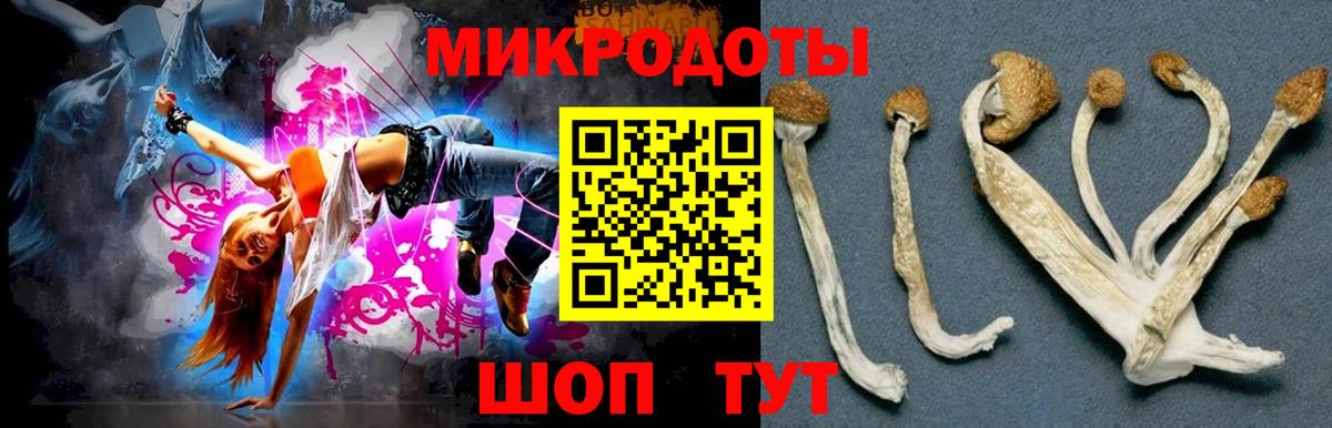 Псилоцибиновые грибы прущие грибы Волжск