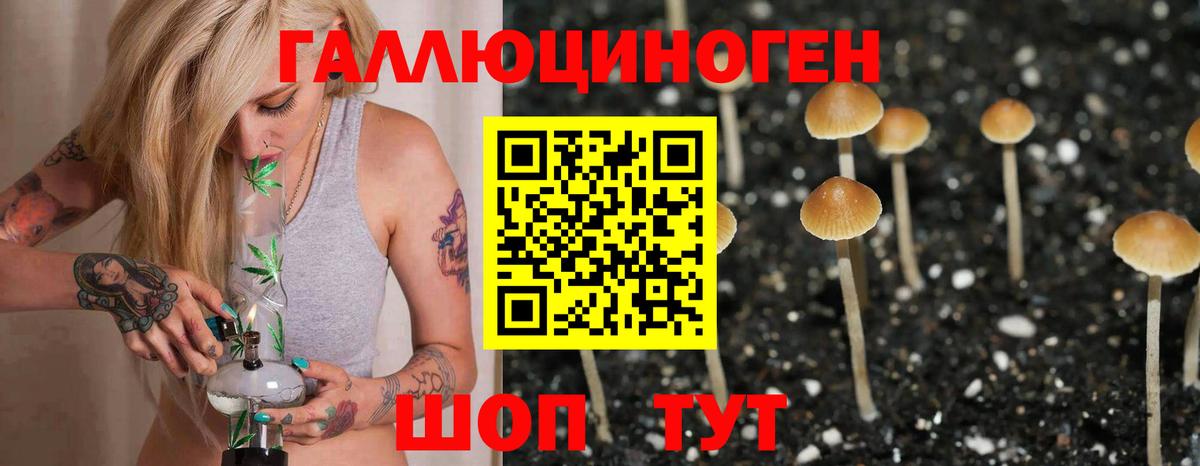 Галлюциногенные грибы Psilocybe  Вход с VPN  Волжск 